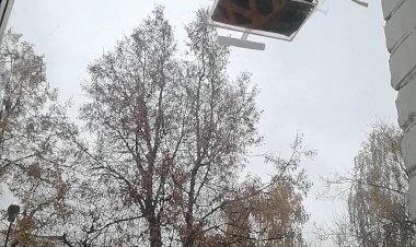 Оконная кормушка- 2 серия)) птичий ажиотаж нарастает!