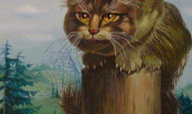 Страшные кошки из старинных русских легенд