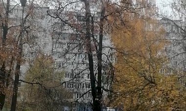 Кормушка на окне 3 - Синички это пчелы