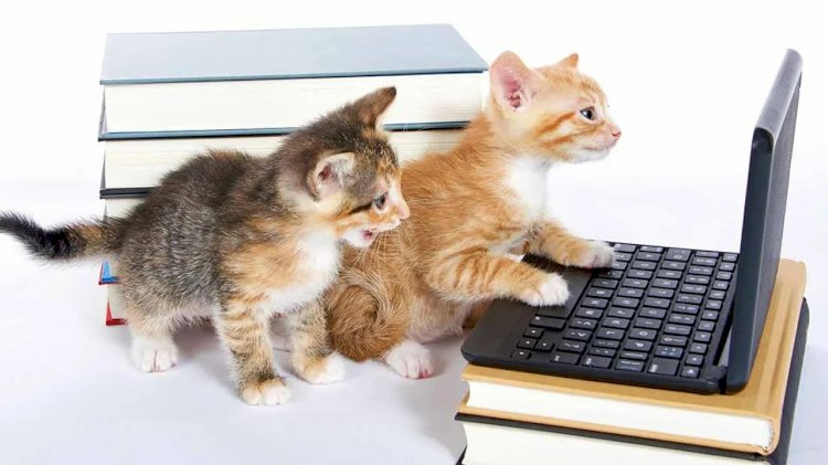 Лендинг, который продаёт и не бесит