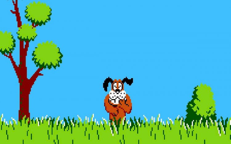 Duck Hunt: как убить всех уток и ни разу не промахнуться?