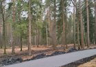 Благоустройство леса рядом с городом