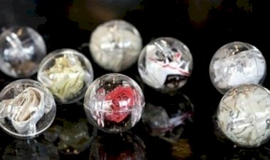 Когда мусор становится источником дохода: пример из 2005 года