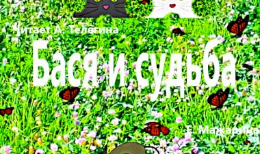 Аудио сказки современные для младших школьников