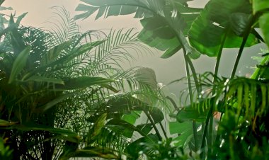 Jason Derulo - Tip Toe feat. French Montana