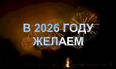 2026 год