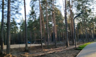 Прогулка по парку