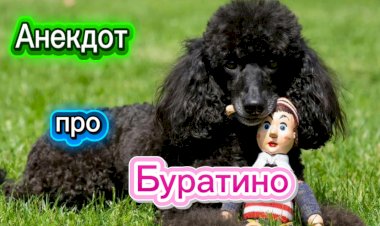 Анекдот про Буратино!