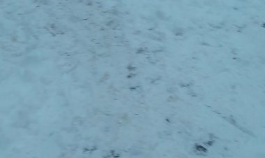 Зима вовсе не сказка