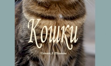 Кошки, стих