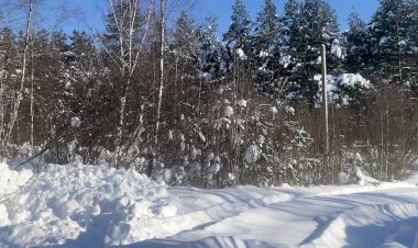 Солнечный февраль