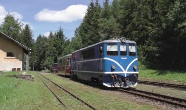 УЖД Тепловозы ТУ3 (T47.019/T47.015) с пассажирскими вагонами