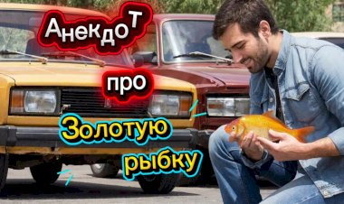 Анекдот про Золотую рыбку!