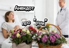 Анекдот про "УШИ"