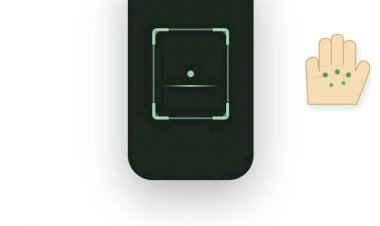 PalmPay: Как мы создаем систему безопасной оплаты по ладони без карт и смартфонов