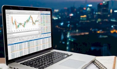 Базы данных и работа с данными