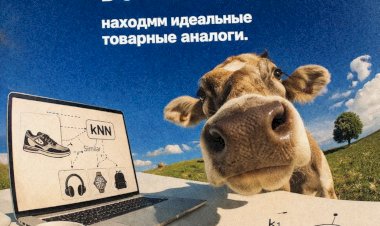 Адаптация метода kNN для автоматизации подбора товарных аналогов в электронной коммерции