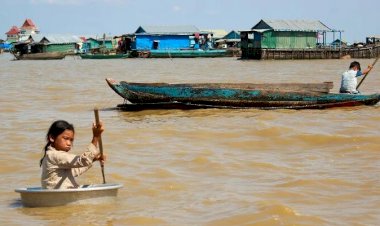 Хитрые способы ухода от налогов в разных странах