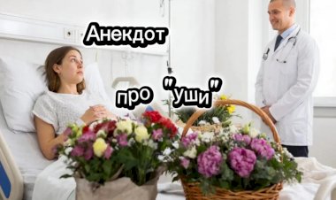 Анекдот про "УШИ"