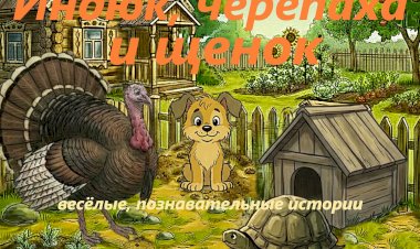 Мультик «Кто носит домик на спине?»