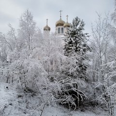 Жизнь и времена